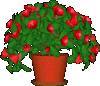 desktop.gif (6562 bytes)