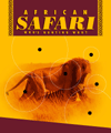 safari.gif (8366 bytes)