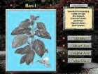 herb2.jpg (3660 bytes)